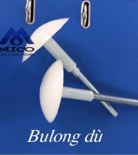Bolong dù